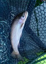 IMG_2260.jpeg IMG_2260.jpeg