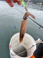 IMG_6266.jpeg