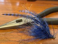 IMG_9390.jpeg