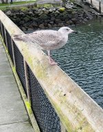 IMG_5280.jpeg