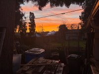 IMG_8573.jpeg