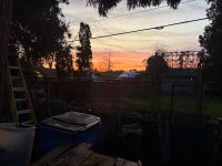 IMG_8575.jpeg