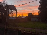 IMG_8574.jpeg