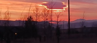 20260112_164915.jpg