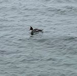 IMG_5289.jpeg