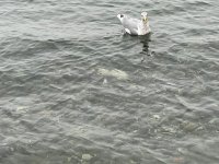 IMG_5295.jpeg