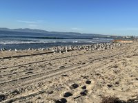 IMG_6832.jpeg