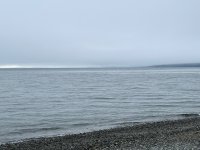 IMG_5294.jpeg
