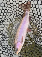 IMG_3027.jpeg