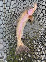 IMG_3031.jpeg
