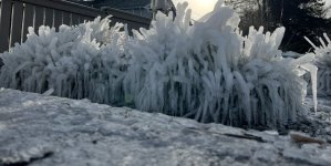 IMG_5305.jpeg