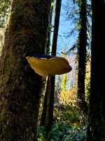 IMG_8598.jpeg