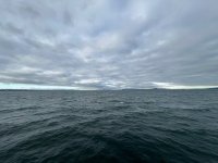 IMG_5311.jpeg