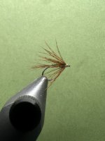 IMG_7656.jpeg IMG_7656.jpeg