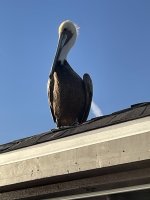 IMG_6859.jpeg IMG_6859.jpeg