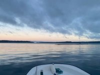 IMG_4039.jpg