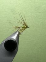 IMG_7661.jpeg IMG_7661.jpeg
