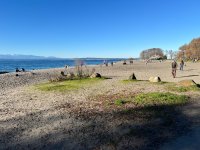 IMG_5345.jpeg