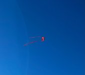 IMG_5349.jpeg