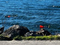 IMG_5352.jpeg