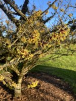 IMG_5547.jpeg