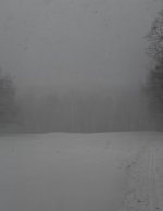IMG_0967.jpeg