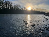 IMG_5865.jpeg