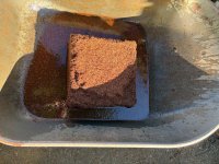 IMG_8640.jpeg