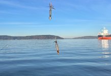 IMG_6363.jpeg