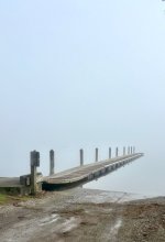 IMG_2229.jpeg