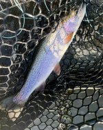 IMG_2297.jpeg IMG_2297.jpeg