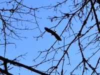 IMG_2866.jpeg