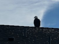 IMG_5395.jpeg