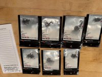 IMG_1308.jpeg