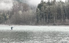 IMG_9419.jpeg