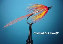 prichards comet.jpg prichards comet.jpg