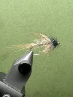 IMG_7680.jpeg