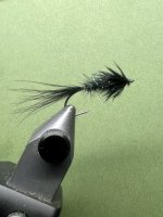 IMG_7683.jpeg