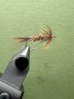 IMG_7684.jpeg