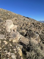 IMG_5460.jpeg