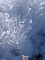 PXL_20260122_181106901.jpg