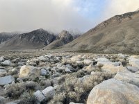 IMG_5437.jpeg