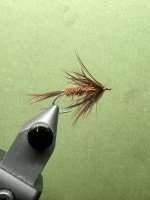 IMG_7685.jpeg