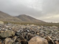 IMG_5489.jpeg
