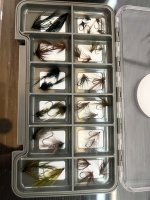 IMG_7686.jpeg