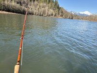IMG_3675.JPG