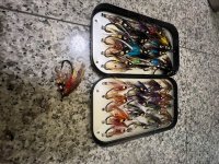 IMG_8883.jpeg