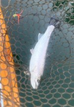 IMG_2343.jpeg IMG_2343.jpeg
