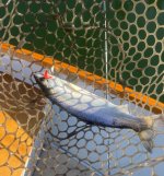 IMG_2354.jpeg IMG_2354.jpeg