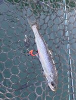 IMG_2355.jpeg IMG_2355.jpeg